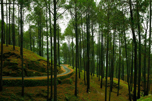 uttaranchal tour packages