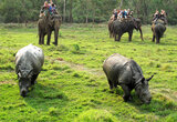 Chitwan
