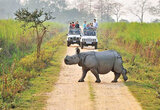 Kaziranga National Park