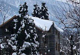Manali