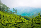 Munnar